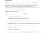 write your SEO optimized blog posts and articles